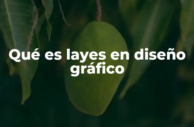Qué es Layes en Diseño Gráfico
