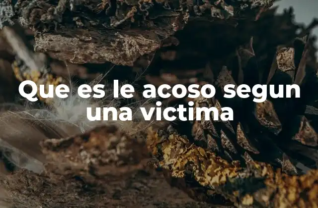 Que es Le Acoso Segun una Victima