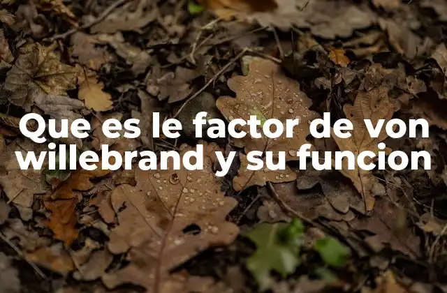 Que es Le Factor de Von Willebrand y Su Funcion