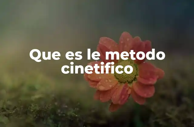 Que es Le Metodo Cinetifico