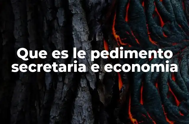 Que es Le Pedimento Secretaria e Economia