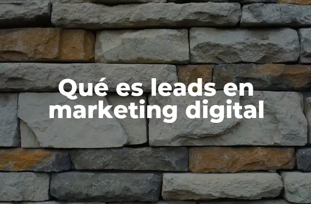 Qué es Leads en Marketing Digital