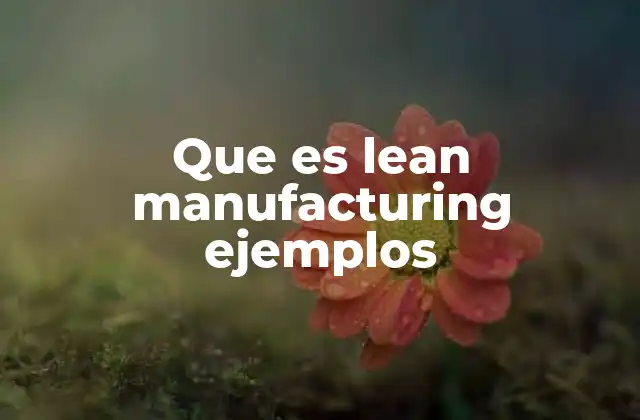 Que es Lean Manufacturing Ejemplos