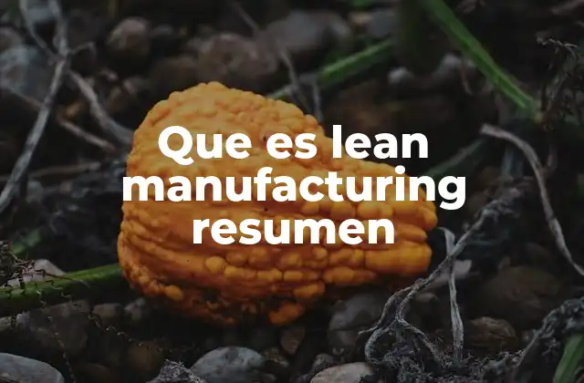 Que es Lean Manufacturing Resumen