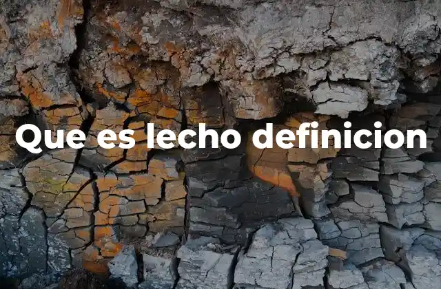 Que es Lecho Definicion 2 La estructura del cauce y su relación con el lecho