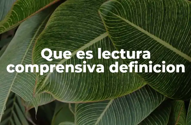 Que es Lectura Comprensiva Definicion