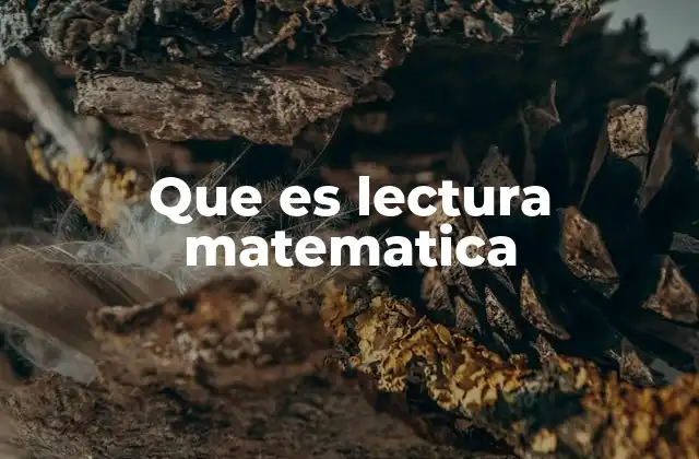 Que es Lectura Matematica