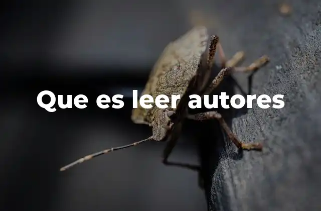 Que es Leer Autores