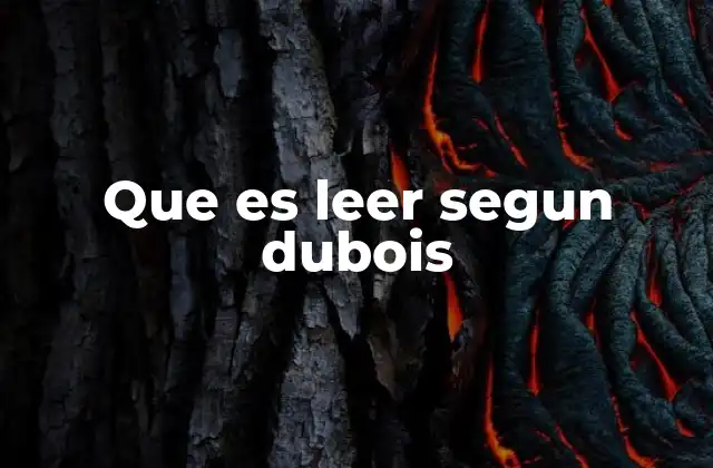 Que es Leer Segun Dubois