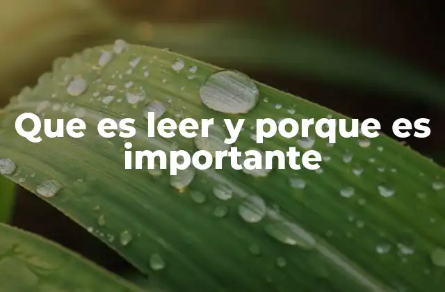 Que es Leer y Porque es Importante