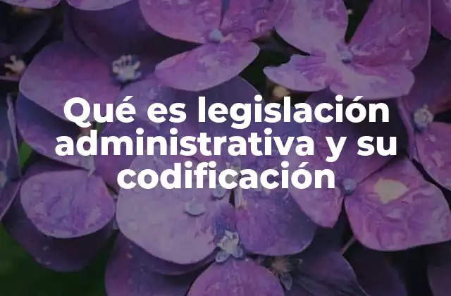 Qué es Legislación Administrativa y Su Codificación