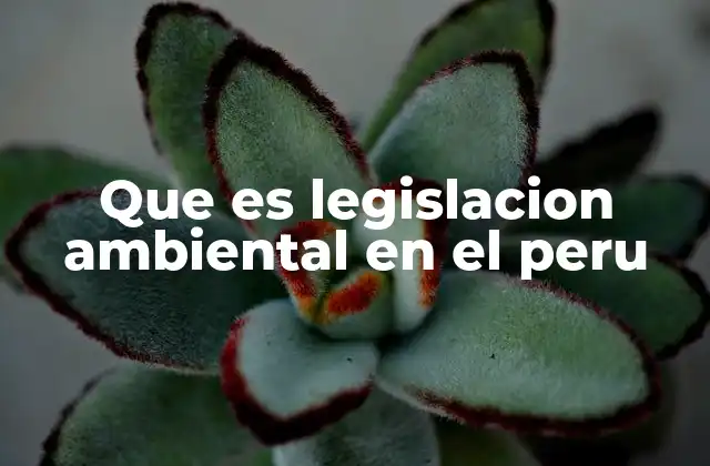 Que es Legislacion Ambiental en el Peru