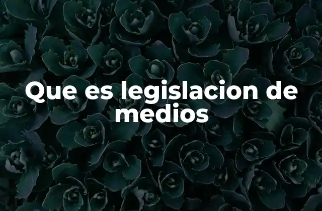 Que es Legislacion de Medios