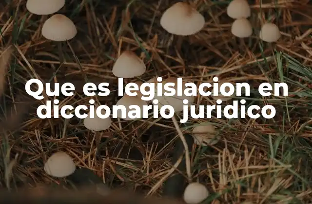 Que es Legislacion en Diccionario Juridico