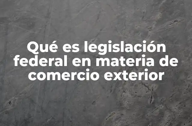 Cómo se estructura el marco legal federal para el comercio exterior