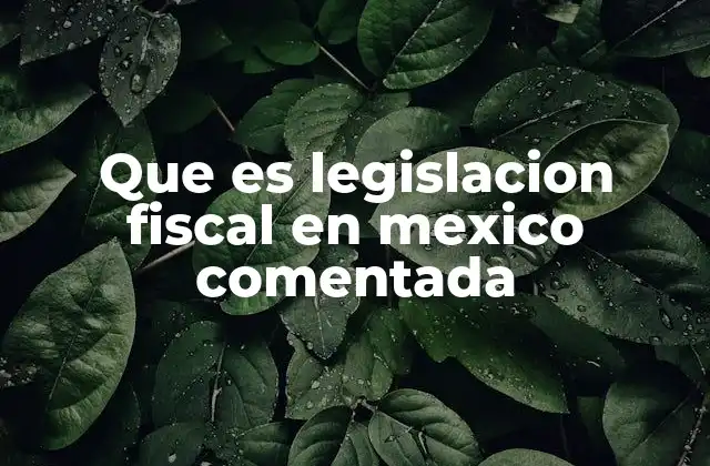 Que es Legislacion Fiscal en Mexico Comentada