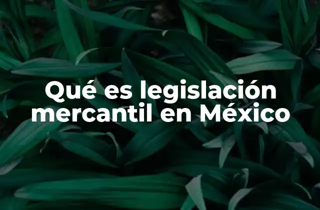 Qué es Legislación Mercantil en México