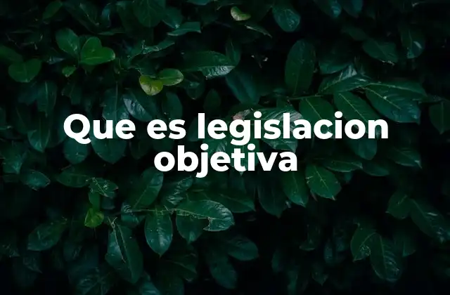 Que es Legislacion Objetiva
