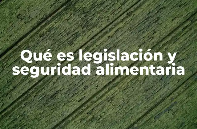 El papel de la legislación en la protección de los consumidores