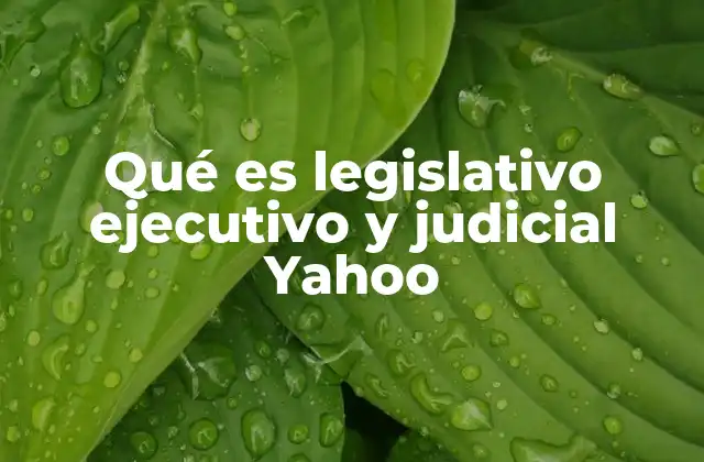 Qué es Legislativo Ejecutivo y Judicial Yahoo