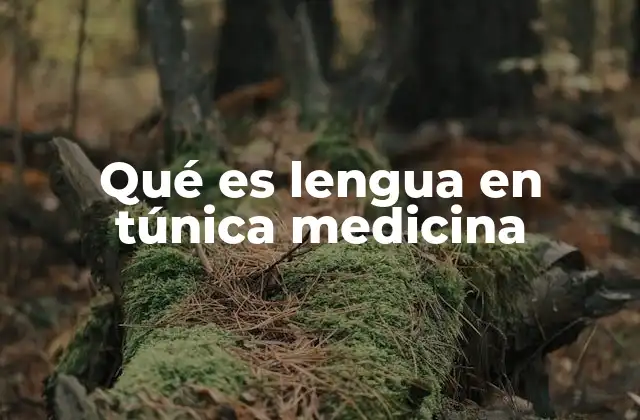 Qué es Lengua en Túnica Medicina