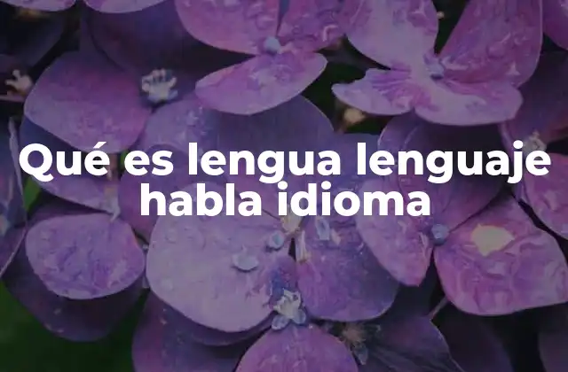 Qué es Lengua Lenguaje Habla Idioma