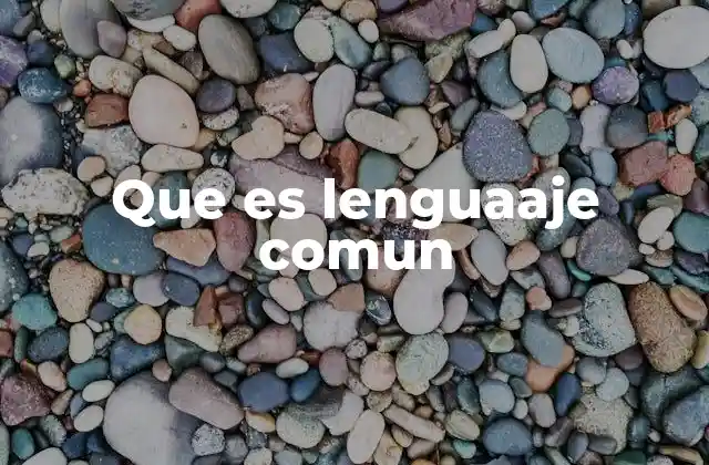 Que es Lenguaaje Comun