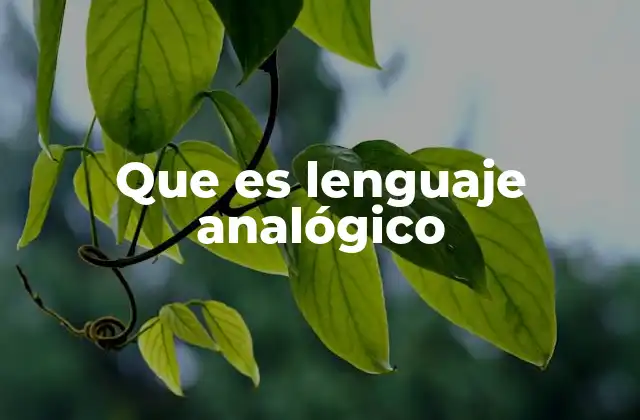 La importancia del lenguaje analógico en la representación de fenómenos naturales