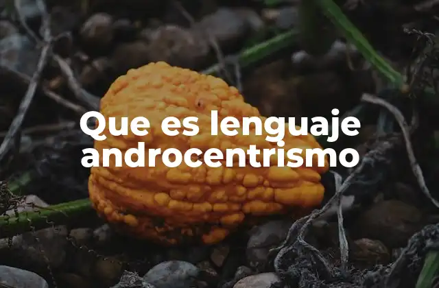 Que es Lenguaje Androcentrismo