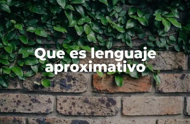 Que es Lenguaje Aproximativo