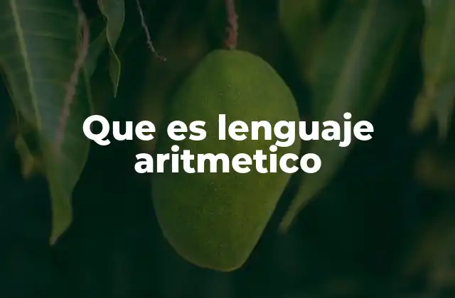 Que es Lenguaje Aritmetico