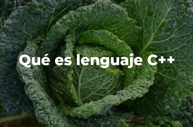Qué es Lenguaje C++
