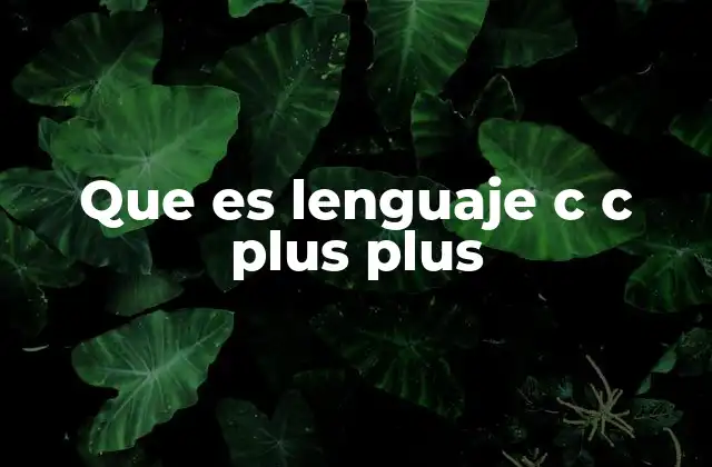 Que es Lenguaje C C Plus Plus