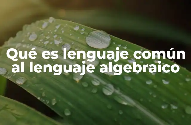 Qué es Lenguaje Común Al Lenguaje Algebraico
