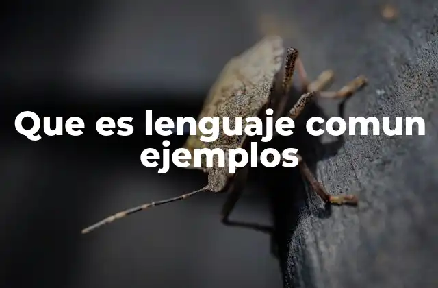 Que es Lenguaje Comun Ejemplos