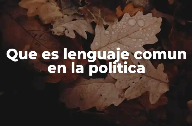 Que es Lenguaje Comun en la Politica
