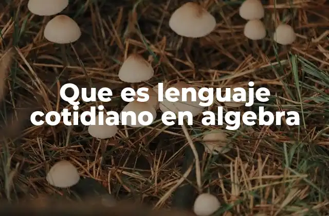 Que es Lenguaje Cotidiano en Algebra