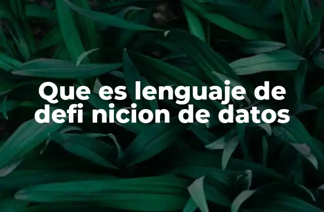 Que es Lenguaje de Defi Nicion de Datos