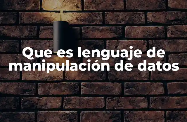 Que es Lenguaje de Manipulación de Datos