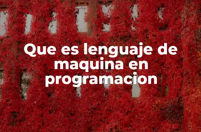 Que es Lenguaje de Maquina en Programacion