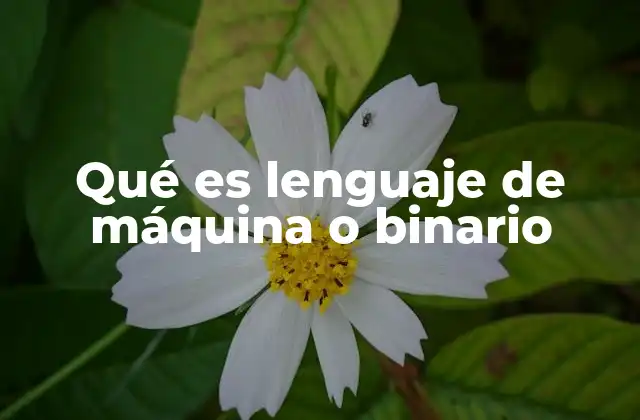 Qué es Lenguaje de Máquina o Binario