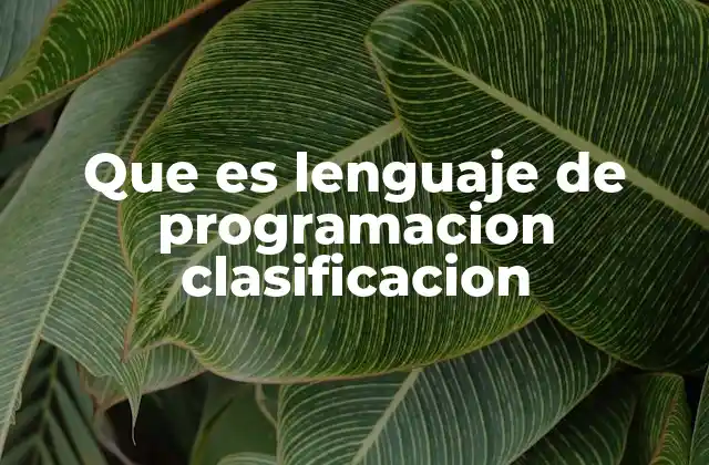 Que es Lenguaje de Programacion Clasificacion