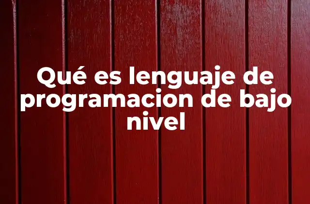 Qué es Lenguaje de Programacion de bajo Nivel