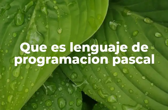 Que es Lenguaje de Programacion Pascal