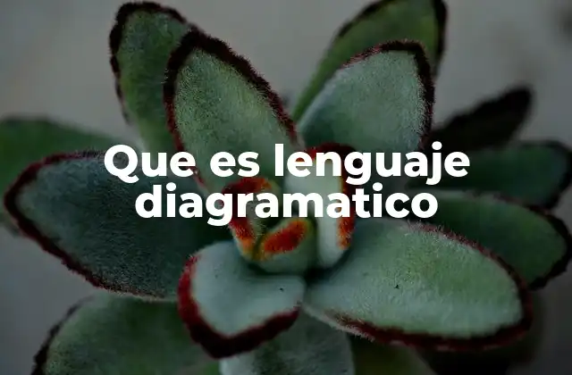 Que es Lenguaje Diagramatico 2 La importancia de la representación visual en el entendimiento de conceptos complejos