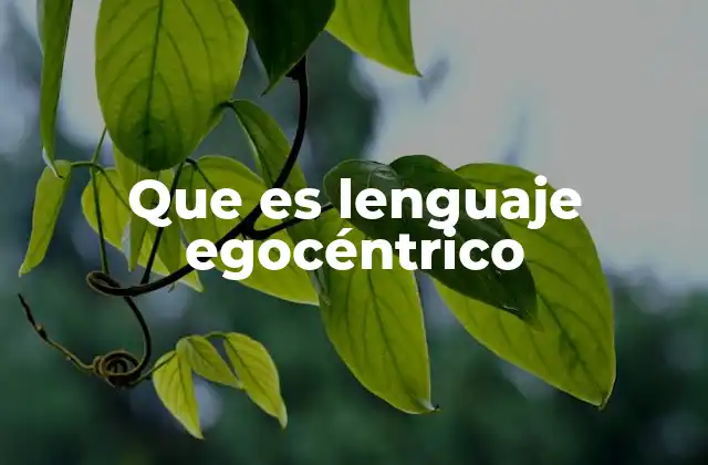 Que es Lenguaje Egocéntrico