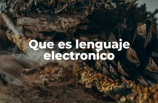 Que es Lenguaje Electronico