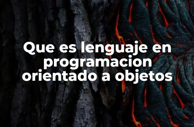 Que es Lenguaje en Programacion Orientado a Objetos