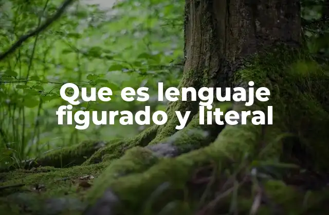 Que es Lenguaje Figurado y Literal