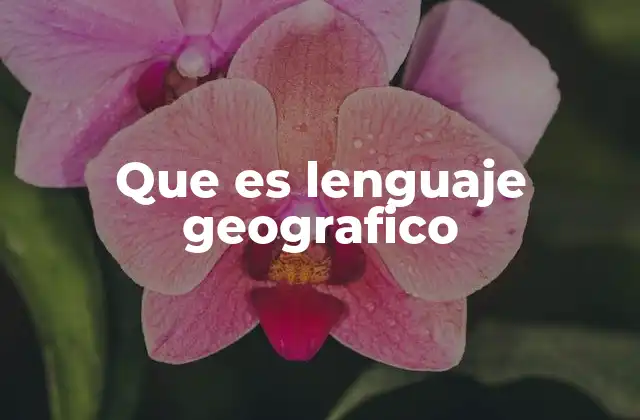 La importancia del lenguaje en la representación espacial